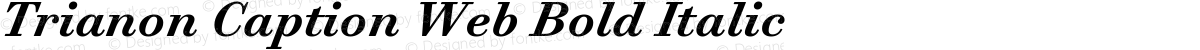 Trianon Caption Web Bold Italic
