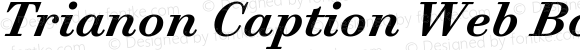 Trianon Caption Web Bold Italic