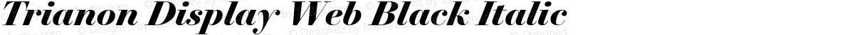 Trianon Display Web Black Italic