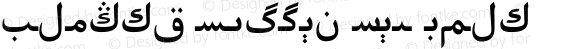 Alpida Uyghur Tuz Bold Version 4.00