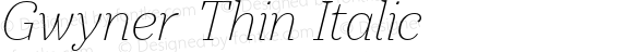 Gwyner Thin Italic