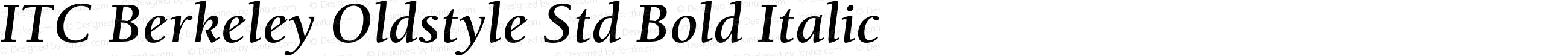 ITC Berkeley Oldstyle Std Bold Italic