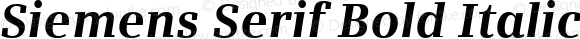 Siemens Serif Bold Italic