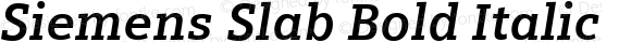 Siemens Slab Bold Italic