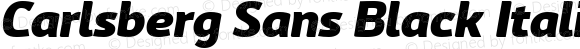 Carlsberg Sans Black Italic