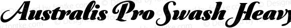 Australis Pro Swash Heavy Italic