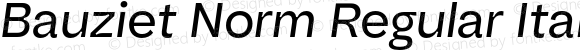 Bauziet Norm Regular Italic