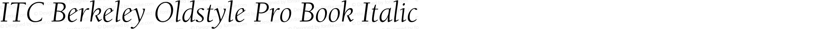 ITC Berkeley Oldstyle Pro Book Italic