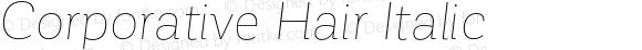 Corporative Hair Italic