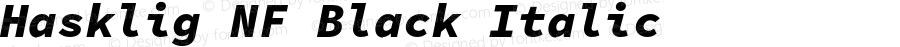 Hasklig Black Italic Nerd Font Complete Windows Compatible