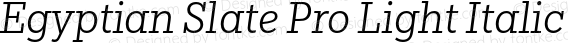 Egyptian Slate Pro Light Italic