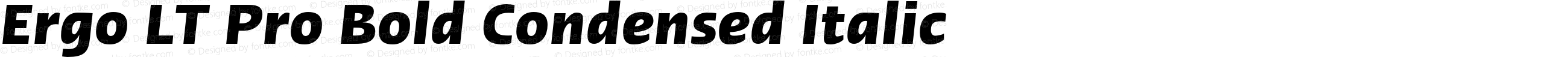 Ergo LT Pro Bold Condensed Italic