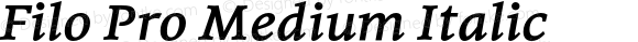 Filo Pro Medium Italic