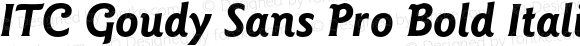 ITC Goudy Sans Pro Bold Italic