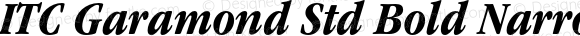 ITC Garamond Std Bold Narrow Italic