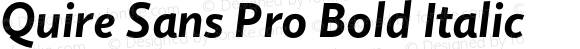 Quire Sans Pro Bold Italic