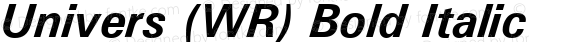 Univers (WR) Bold Italic