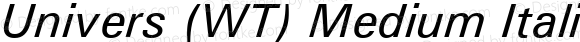 Univers (WT) Medium Italic