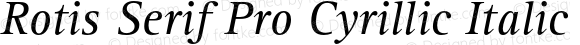 Rotis Serif Pro Cyrillic Italic