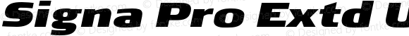 Signa Pro Extd Ultra Italic