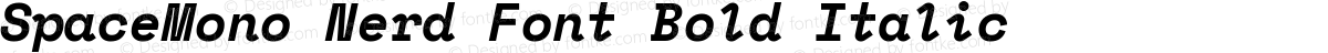 SpaceMono Nerd Font Bold Italic