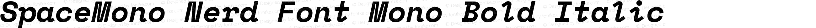 SpaceMono Nerd Font Mono Bold Italic