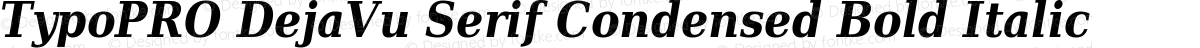 TypoPRO DejaVu Serif Condensed Bold Italic