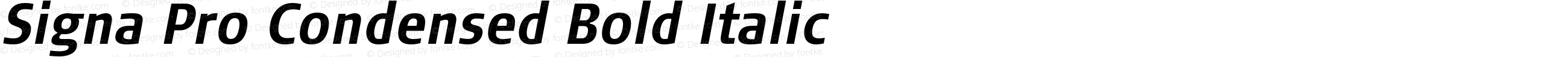 Signa Pro Condensed Bold Italic