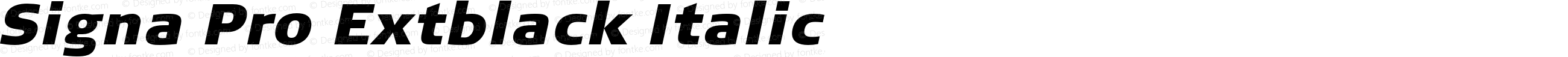 Signa Pro Extblack Italic