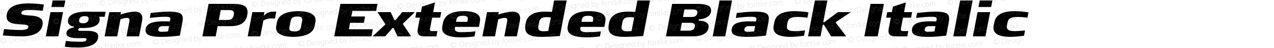 Signa Pro Extended Black Italic