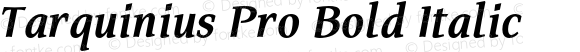 Tarquinius Pro Bold Italic