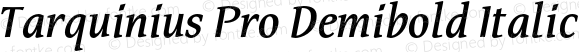 Tarquinius Pro Demibold Italic