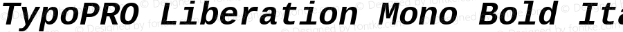 TypoPRO Liberation Mono Bold Italic