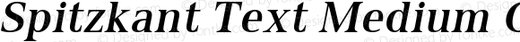 Spitzkant Text Medium Oblique