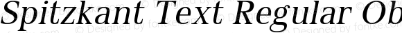 Spitzkant Text Regular Oblique