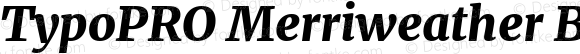 TypoPRO Merriweather Black Italic