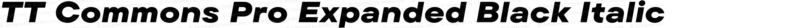 TT Commons Pro Expanded Black Italic