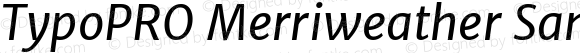 TypoPRO Merriweather Sans Italic