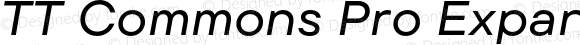 TT Commons Pro Expanded Medium Italic