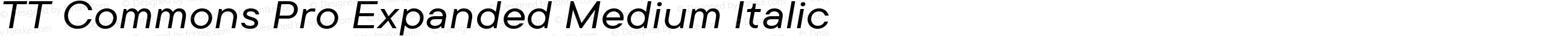 TT Commons Pro Expanded Medium Italic