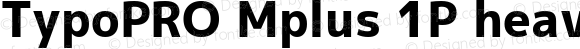 TypoPRO Mplus 1P heavy
