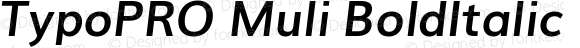 TypoPRO Muli Bold Italic