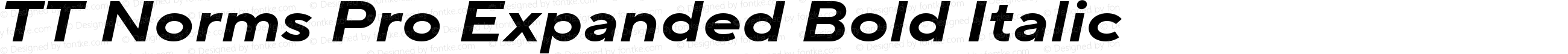 TT Norms Pro Expanded Bold Italic