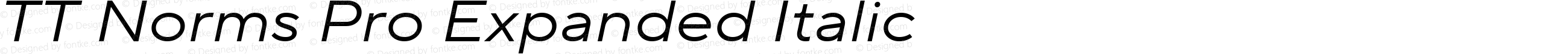 TT Norms Pro Expanded Italic