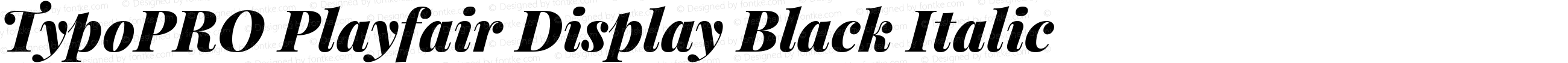 TypoPRO Playfair Display Black Italic