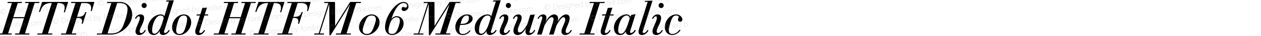 HTF Didot HTF M06 Medium Italic