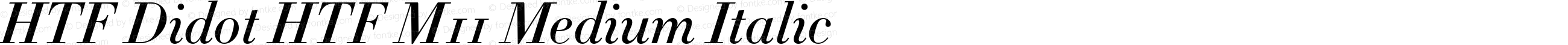 HTF Didot HTF M11 Medium Italic