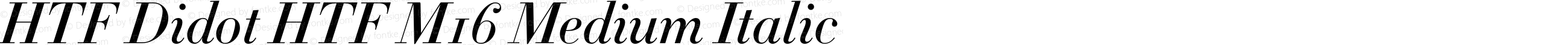 HTF Didot HTF M16 Medium Italic