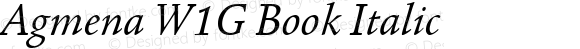Agmena W1G Book Italic