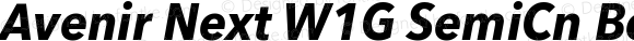 Avenir Next W1G SemiCn Bold Italic